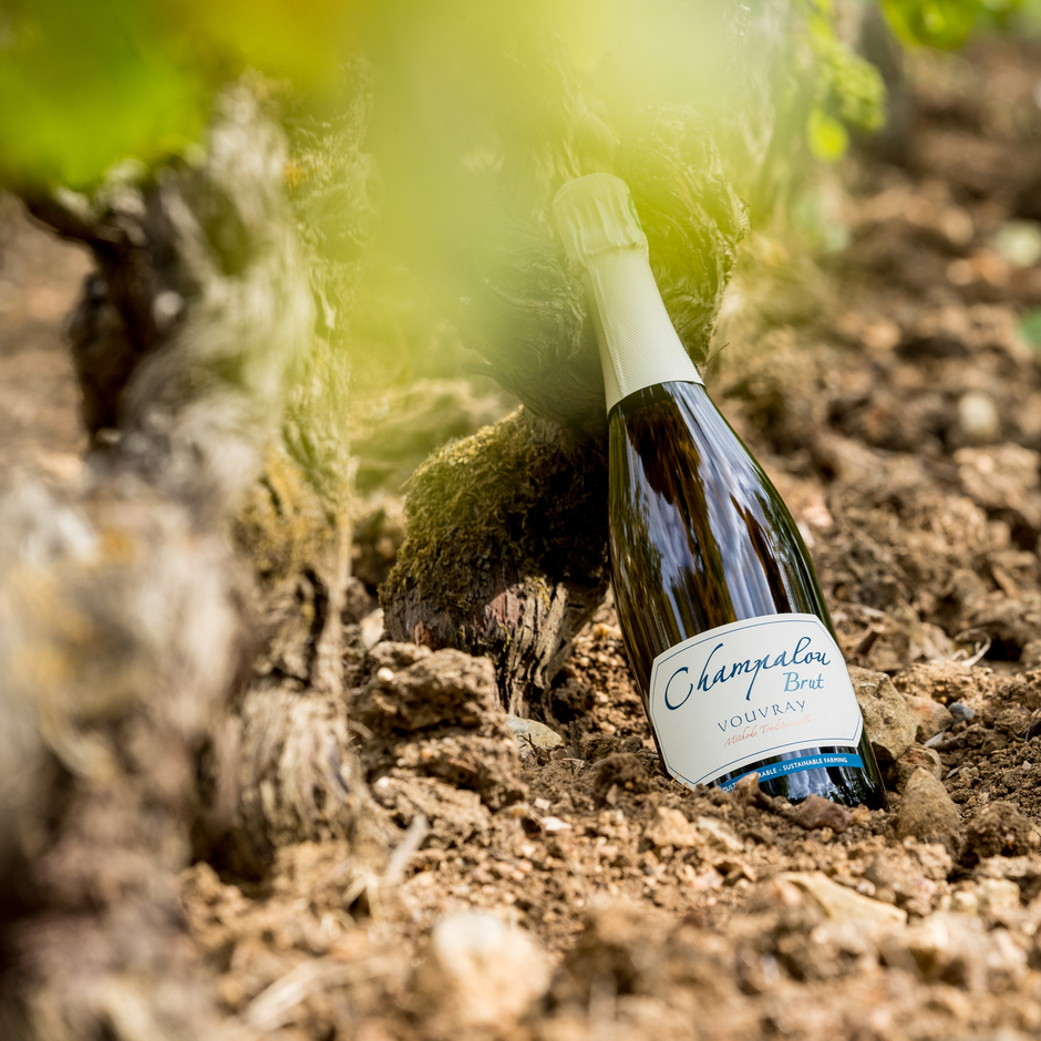 The Vouvray brut of the domain Champalou in the vines 