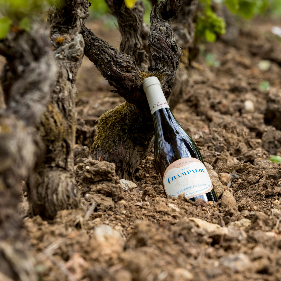 Les Tries of the vineyard Champalou
